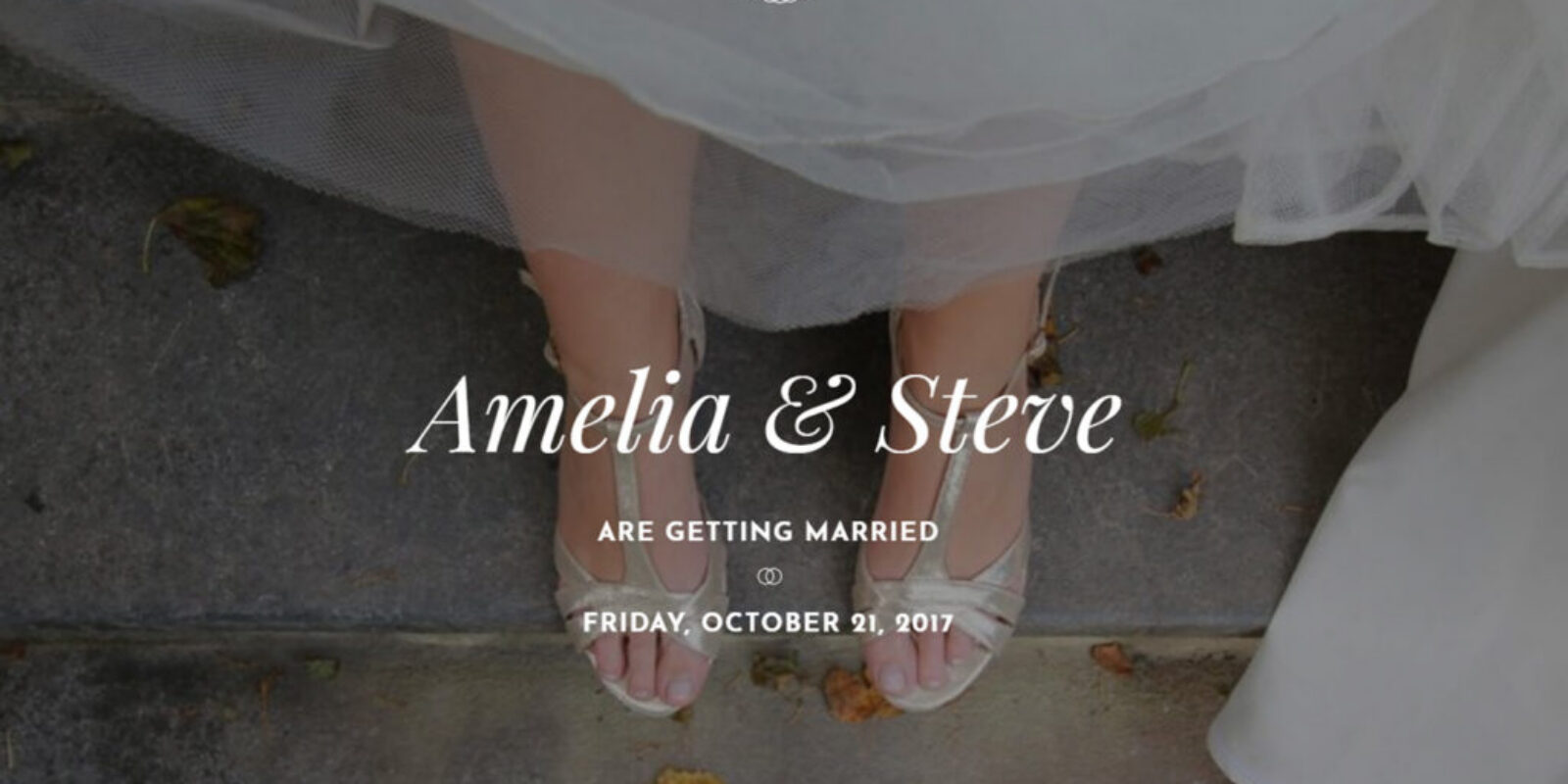 wedding-skin-thumb wedding-skin-thumb