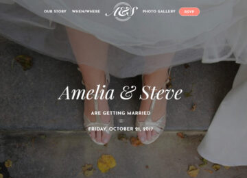 wedding-skin-thumb wedding-skin-thumb