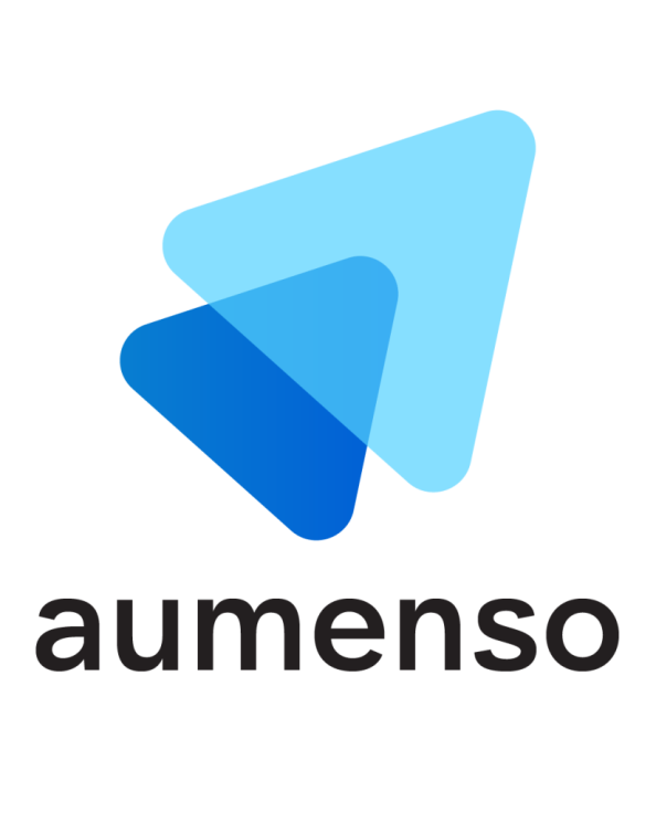IT Services Company Portfolio – Aumenso